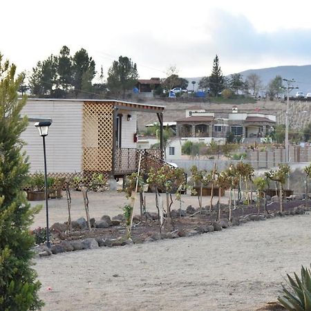Hotel La Palapa De Jireh Valle de Guadalupe Zewnętrze zdjęcie